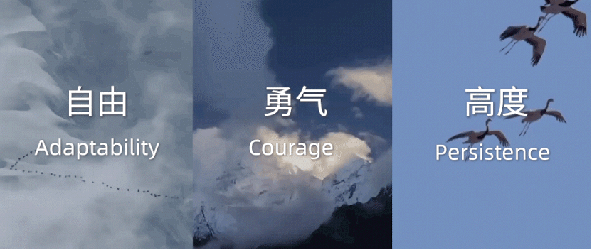 1656306184166393.gif 图片 1.gif